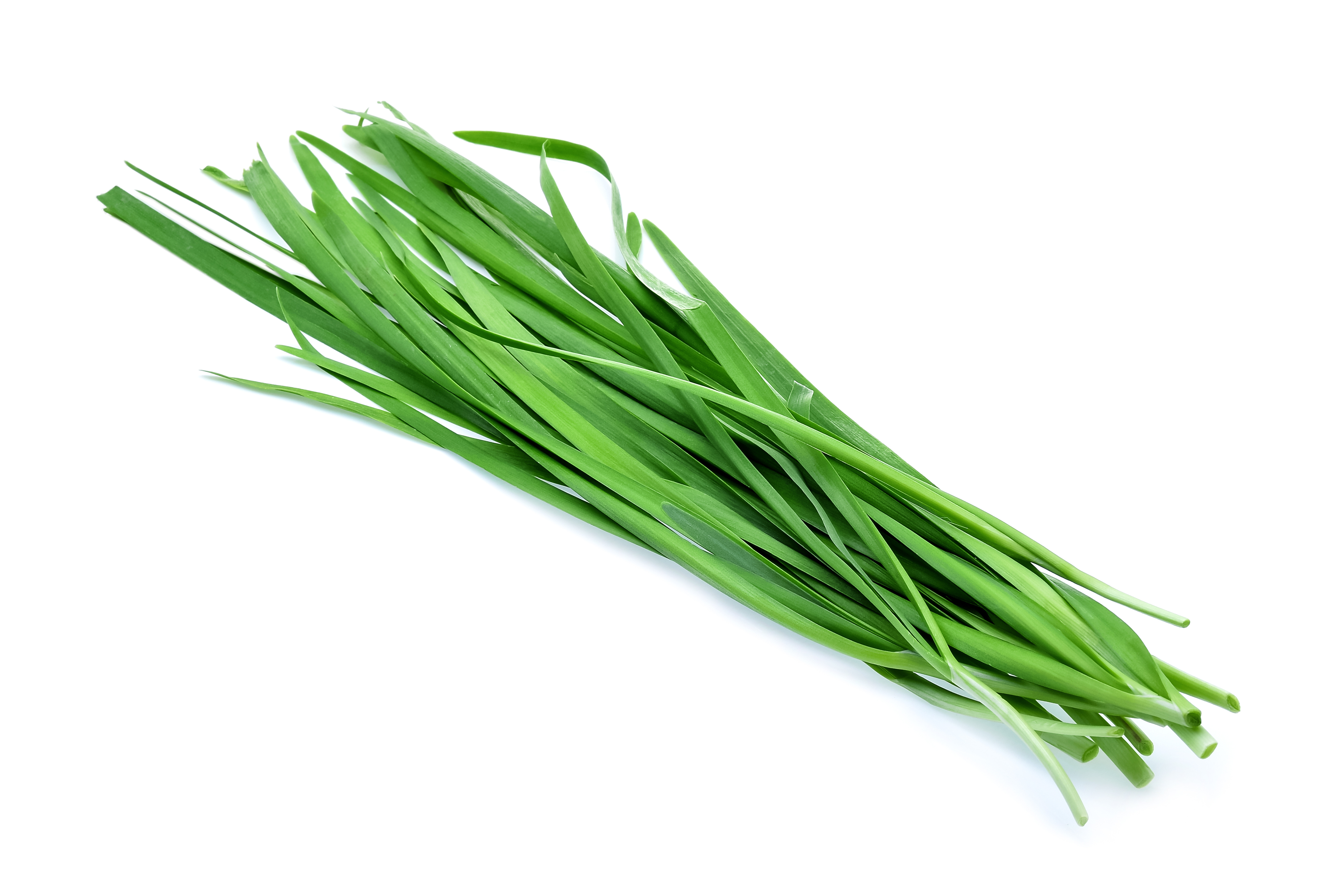 Garlic chives on white background de Kruidenaer