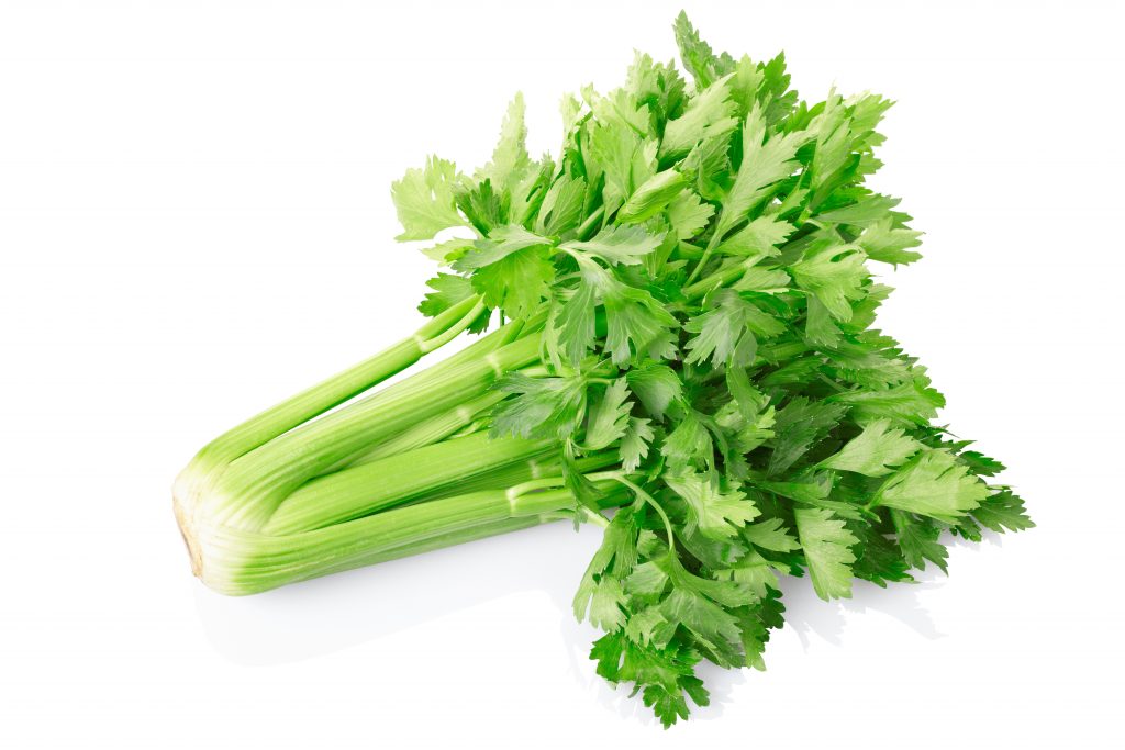 Green celery de Kruidenaer